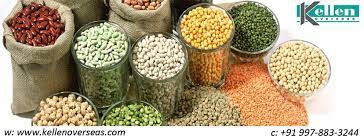 Agro Products Export & Import