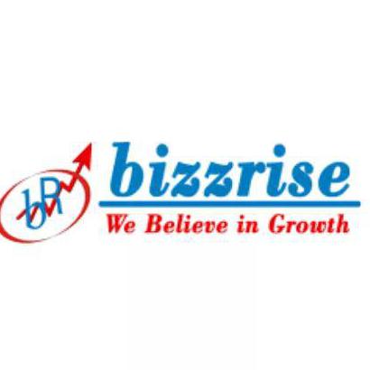 Bizzrise technologies INC profile picture