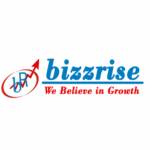 Bizzrise Technologies INC profile picture