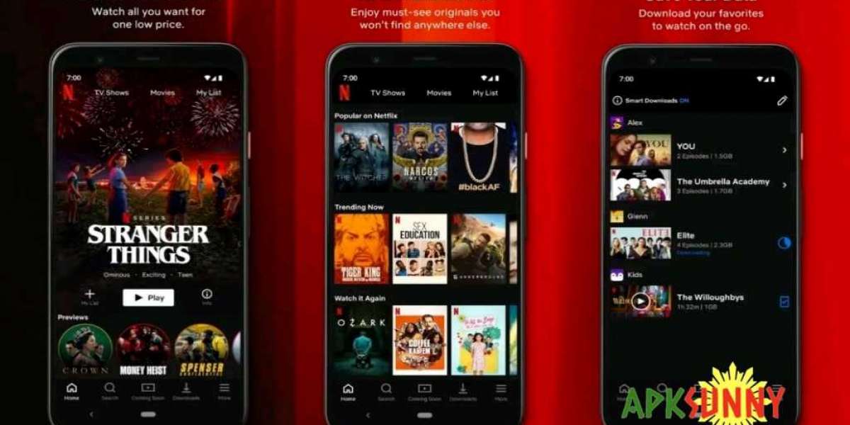 What is the Netflix Cracked Version?
