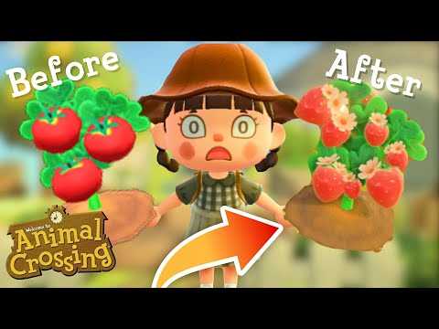 Is Modding The FUTURE of Animal Crossing: New Horizons?!