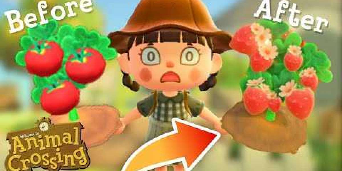 Crossover Event Between Splatoon and Animal Crossing: New Horizons in the Near Future