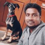 krishnakumar Rajagopal Profile Picture