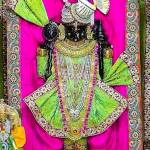 tinku chhabra Profile Picture