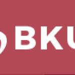 buykamagra uk Profile Picture