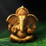 Vijay Tiwari Profile Picture