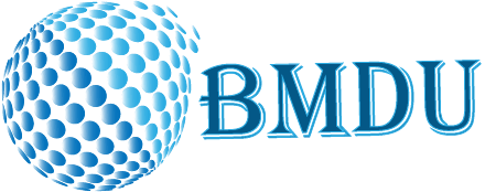 Best SMO Services in Delhi-BMDU