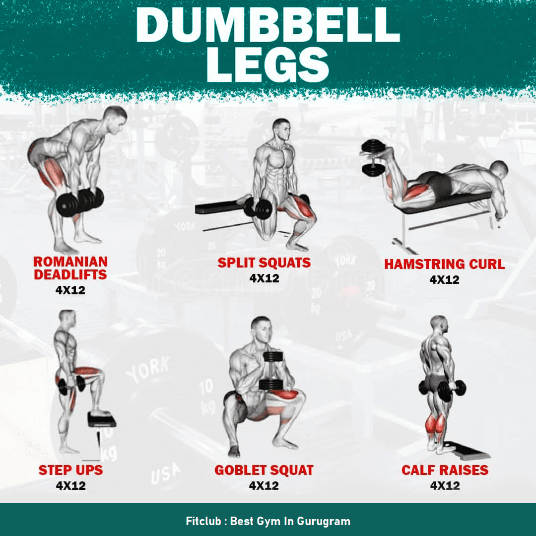 Leg Workouts at Gym: To Build Stronger Legs - FitClub