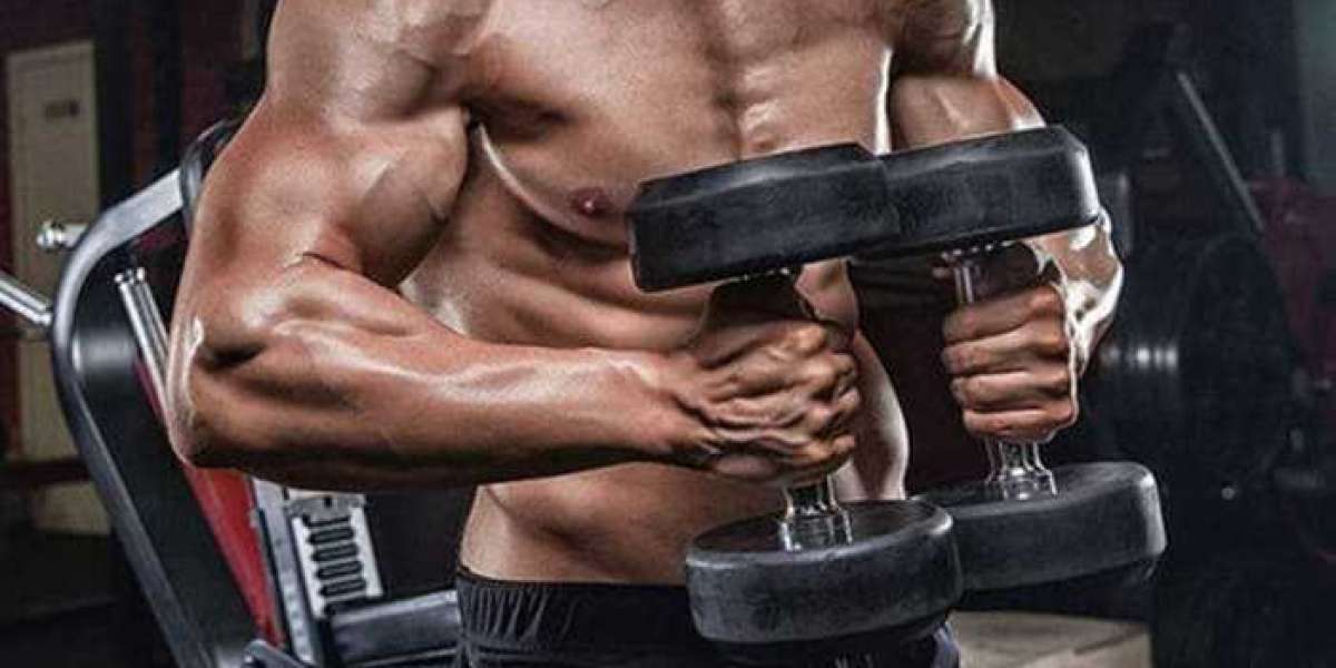 The Most Effective Chest Exercises for Building Muscles