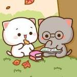 Bubududufriends