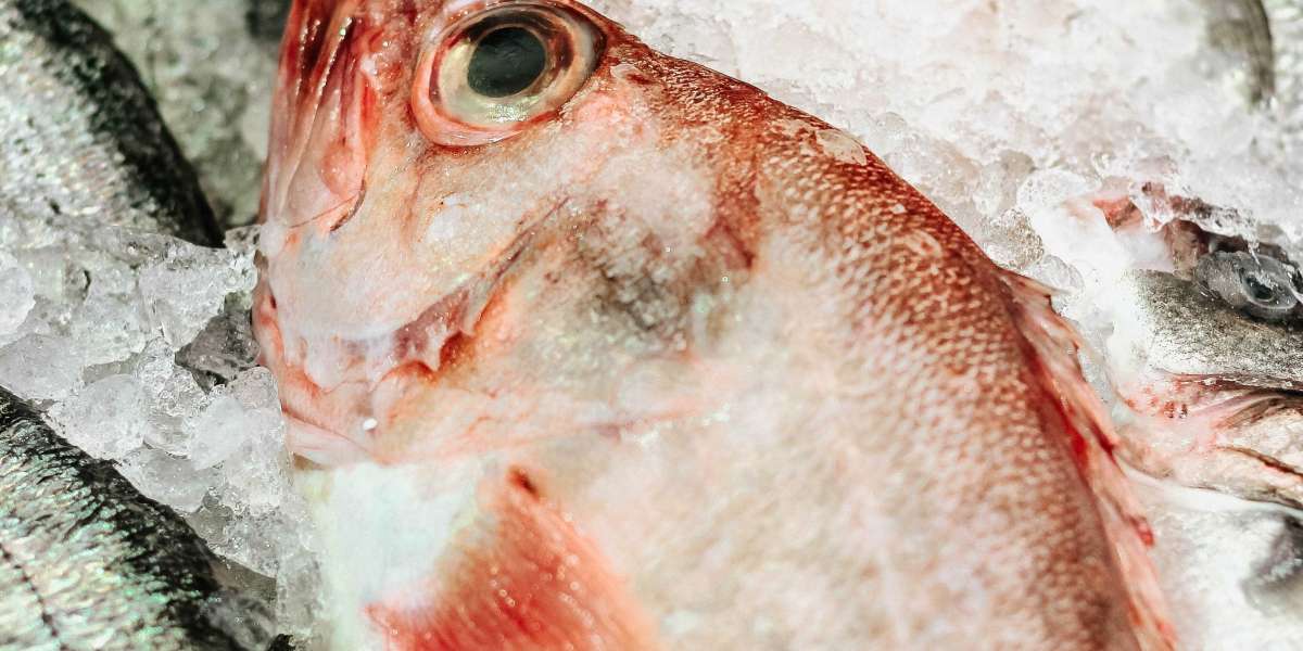 Tips On Freezing Fresh Seafood Products