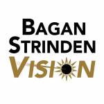 Bagan Strinden Vision Profile Picture