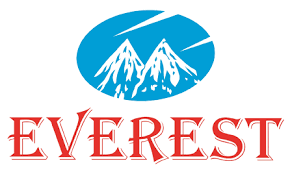 EVEREST Stabilizer - Online Shopping for Home Appliances