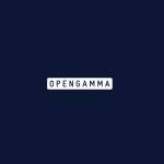 OpenGamma Profile Picture