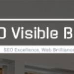 Seo Visible Brain Profile Picture