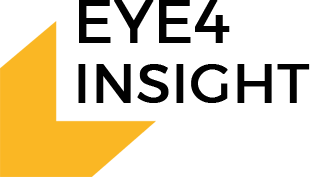 Eye4Insight: Your Solution for Warehouse Visibility