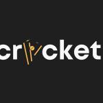 Online Cricket Betting Profile Picture