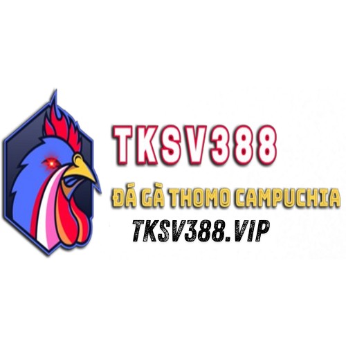 SV388 TK Profile Picture