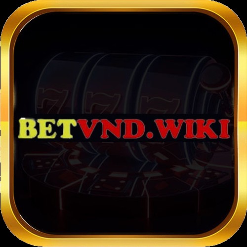 Betvndwiki Profile Picture