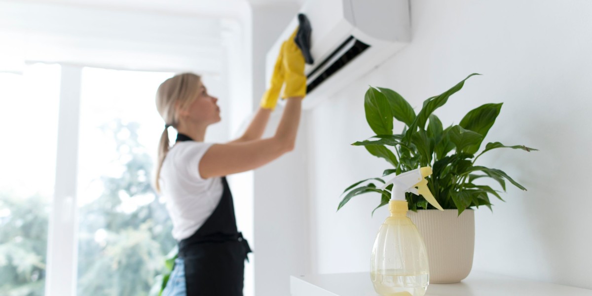 Discover Why 70% of Brisbane Residents Opt for Regular Cleaning Services
