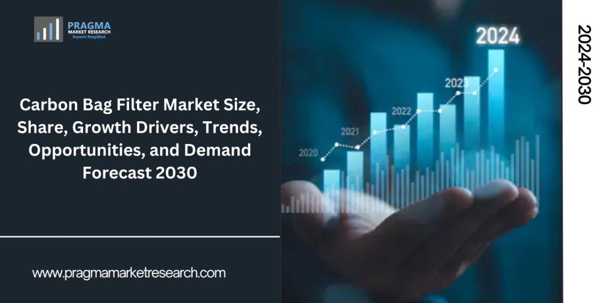 Global Carbon Bag Filter Market Size, Share, Growth Drivers, Trends, Opportunities, Revenue Analysis, and Demand Forecast to 2030