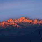 The Kanatal Arbour Profile Picture