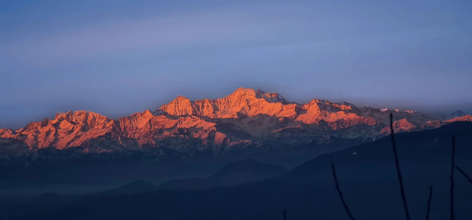 The Kanatal Arbour Profile Picture