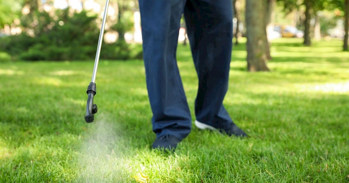 Do You Need Professional Weed Control? Signs It’s Time to Call the Experts