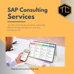 Techcarvings SAP Cosnulting service Profile Picture