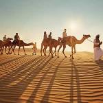 Desert Safari Abu Dhabi Profile Picture