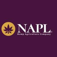Nap limited Profile Picture