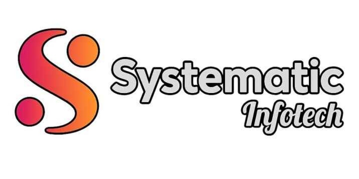 Unleash Real Growth with a Reliable Performance Marketing Firm in Indore - Systematic Infotech