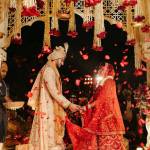 kashish diwakar Profile Picture