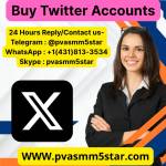 Buy Twitter Accounts Profile Picture