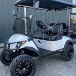 LEISURE PRODUCTS EVOLUTION GOLF CART DEALER Profile Picture