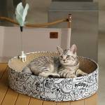 diy cat scratcher Profile Picture