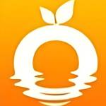 Affordable Pool and Spa Services Profile Picture