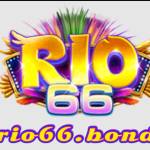 Rio 66 Profile Picture