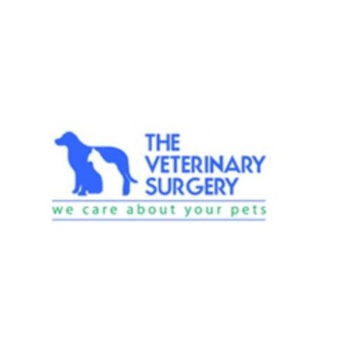 The Veterinary Surgery Profile Picture