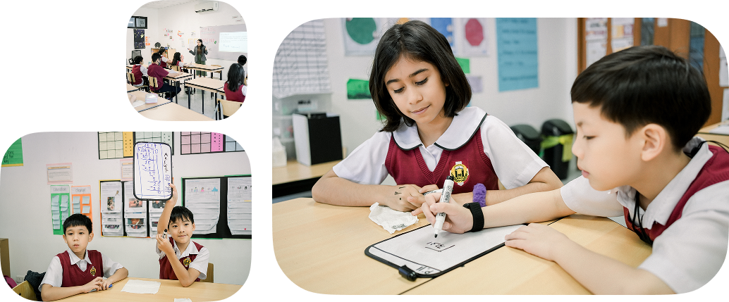 Primary Years Programme - Domuschola International School