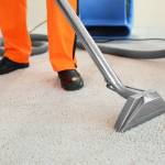 Sworsed Profile Picture