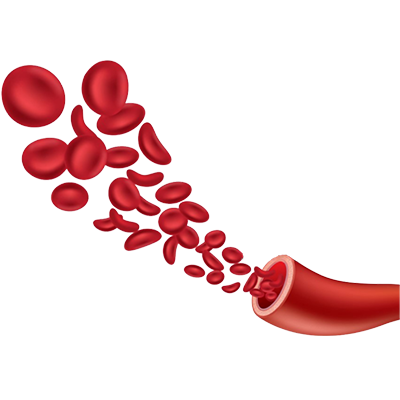 Sevelamer hydrochloride API manufacturers, exporter and supplier