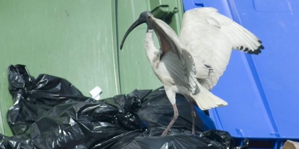 Casino Cruises Reward Program Club Royale