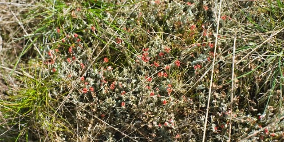 Best US Online Casinos in 2025 Top Real Money Online Casinos