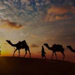 Rishi jain Profile Picture