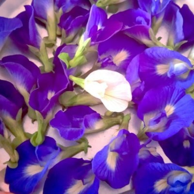 KapilSharma Profile Picture