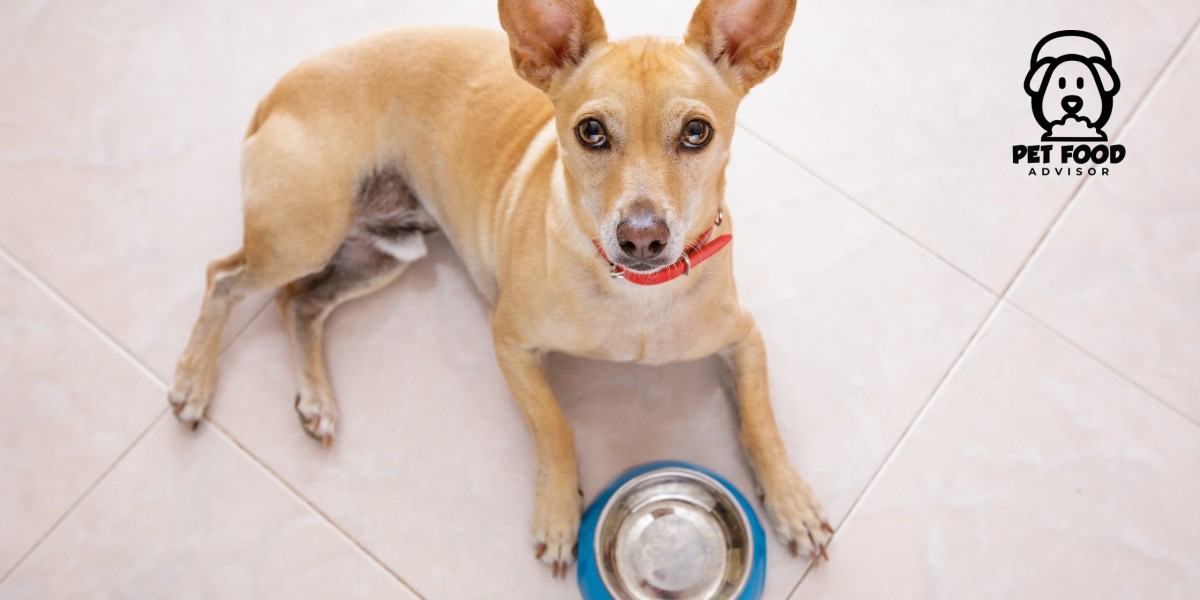 ACANA Puppy Dog Nutrition Guide: Is It Right for Your Growing Dog?