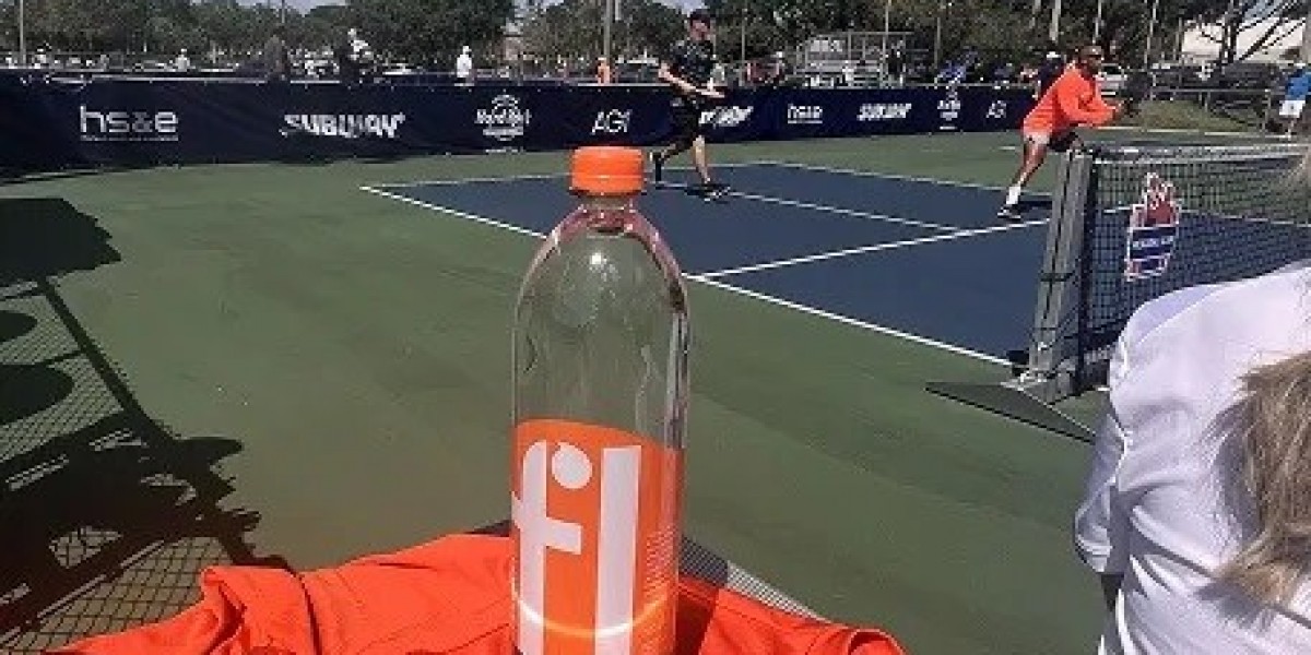 Florida in Every Drop: Understanding Water From the Sunshine State