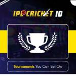 ipl betting website profile picture