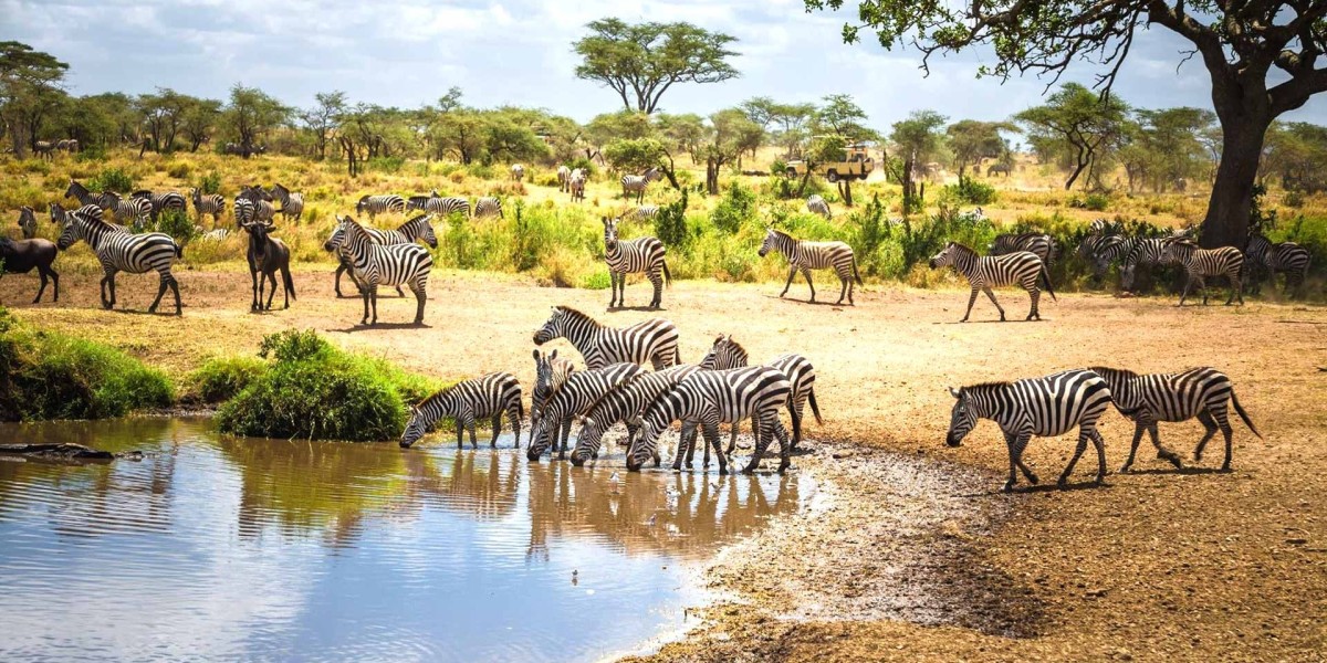 Why Are Tanzania Safaris Dominating Africa’s Wildlife Tourism in 2025?